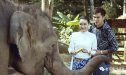 鸭王激烈床叫视频,一场激情与争议的碰撞